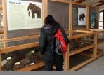 Wystawę będzie można oglądać w Muzeum Przyrodniczym TPN do marca przyszłego roku (fot. PAP)