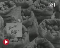 Stopklatka - 85a6bfcffd58c0d3c0a8dd57e2fd63df1237799938655.jpg