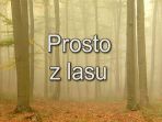 prosto z lasu 4x3
