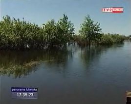 (fot. TVP Lublin)