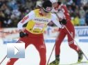 Lis o grzechach sportowców