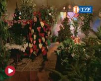 image - 921257bc7993269a1e8cbd16b6df5f3b1247907984765.jpg