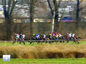 Dzień na wyścigach – Służewiec 2011 (27.11)