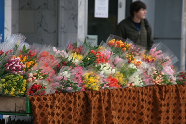 Kiedyś goździki, dziś tulipany (fot. annd)