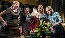 "Koń, kobieta i kanarek" fot: Maciej Stobierski