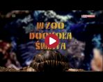 W Zoo dookoła świat