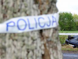 http://s.v3.tvp.pl/images/9/e/1/uid_9e1d9ad37ffcd4009c8c2bfb9b7244b31
274547964671_width_268_play_0_pos_3_gs_0.jpg