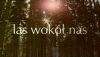 (c) foto