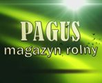 Pagus (c)