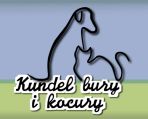 Kundel bury i kocury (c)