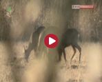 Spotkania z ekologią 9.03