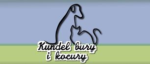 Staramy się znaleźć opiekunów dla porzuconych psów i kotów (c)