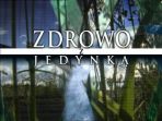 Zdrowo (fot.TVP)