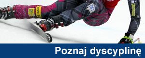 dyscy