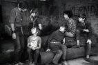 Gang w komplecie (fot. TVP)