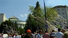 Taksówkarze obrzucili drzewa przed Sejmem papierem toaletowym (fot. TVP Info)