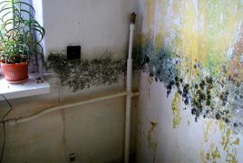 Powodzianie wracają do swoich zniszczonych domów; wszędzie zalega muł, gniją podłogi, ściany pokrywa grzyb