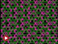 image - c26749147f42561d68c2ef910178e8c01231622436086.jpg