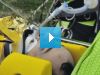 Kubica w najlepszych rękach