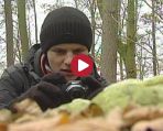 Spotkania z ekologią 9.12
