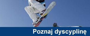 dyscyplina