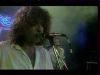 Kobranocka - Kocham cię jak Irlandię (1990)