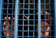 Skazani dawni przedstawiciele reżimu obalonego prezydenta Egiptu Hosniego Mubaraka, zaproponowali, że w zamian za wolność przeka