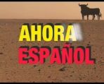 Ahora Espanol