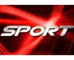 Serwis Sportowy (c)