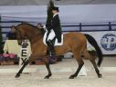 Cavaliada: Skrzyczyński drugi w wielkiej rundzie