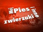 Mój pies i inne zwierzaki (c)