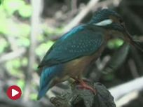image - f033d0d6e4937b01fd674a77143b27851298710912937.jpg
