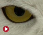 f075e21157f271641afac8c7417607001264847064054.png
