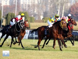 Dzień na wyścigach – Służewiec 2011 (20.11)