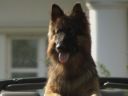 Alex prowadzi własne śledztwo – scena z odc. 22